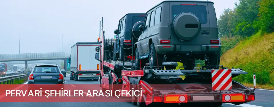 Pervari İlçemi Şehirler Arası Çekici